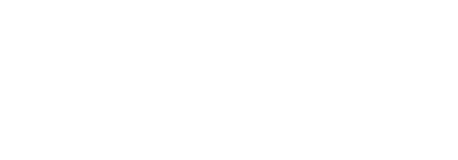 Brightfin logo